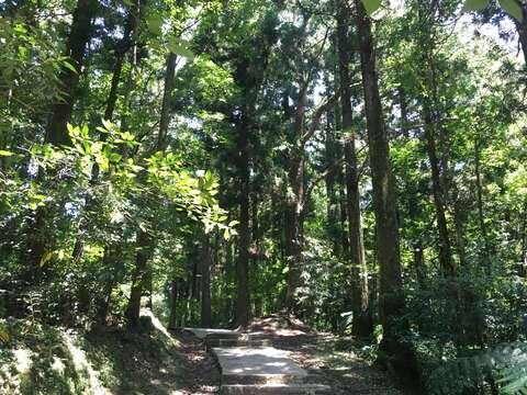 搭乘「台灣好行」享東眼山國家森林遊樂區免費入園.jpg