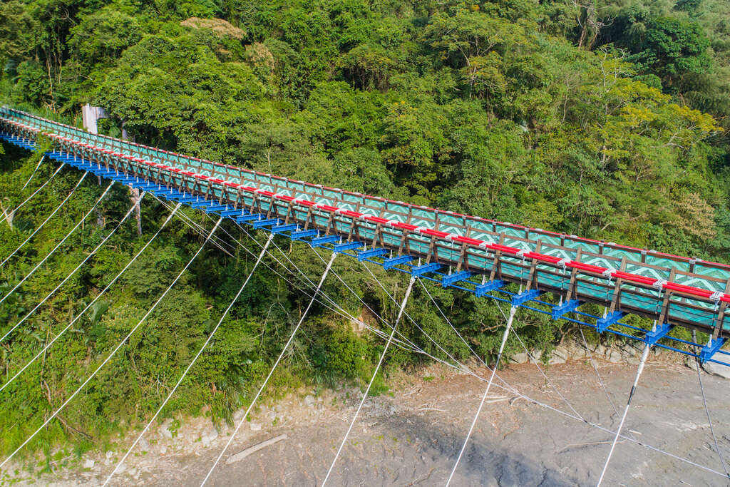 【新溪口吊橋】重新開放引人潮，8/2前免費入園